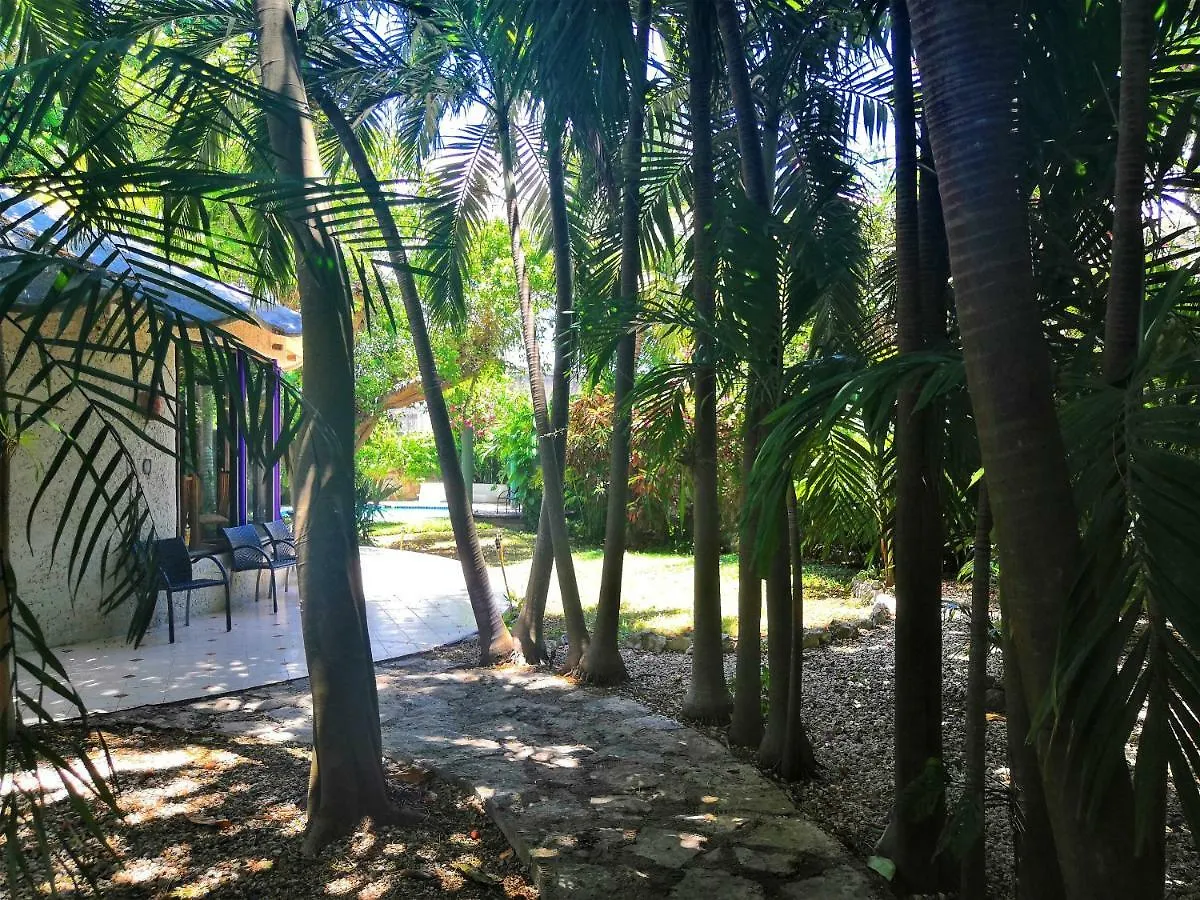 Bed & Breakfast Aldea Del Sol Hotel Cancun Mexico